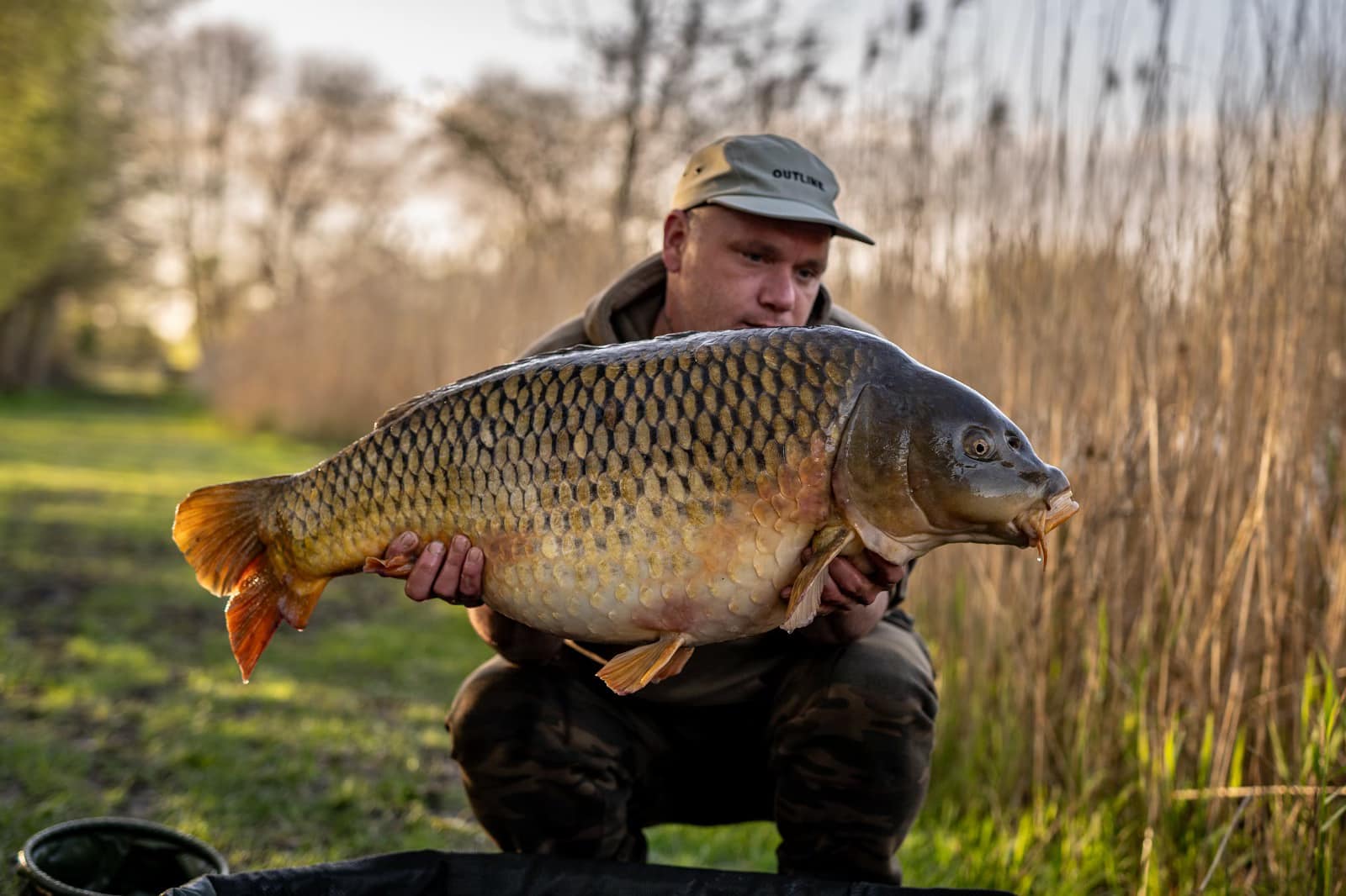 42lb 1oz common carp caught at Avalon Fisheries, April 2024